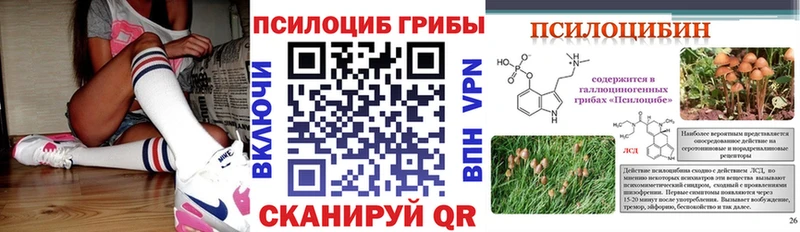 Псилоцибиновые грибы Cubensis  закладка  Свирск 
